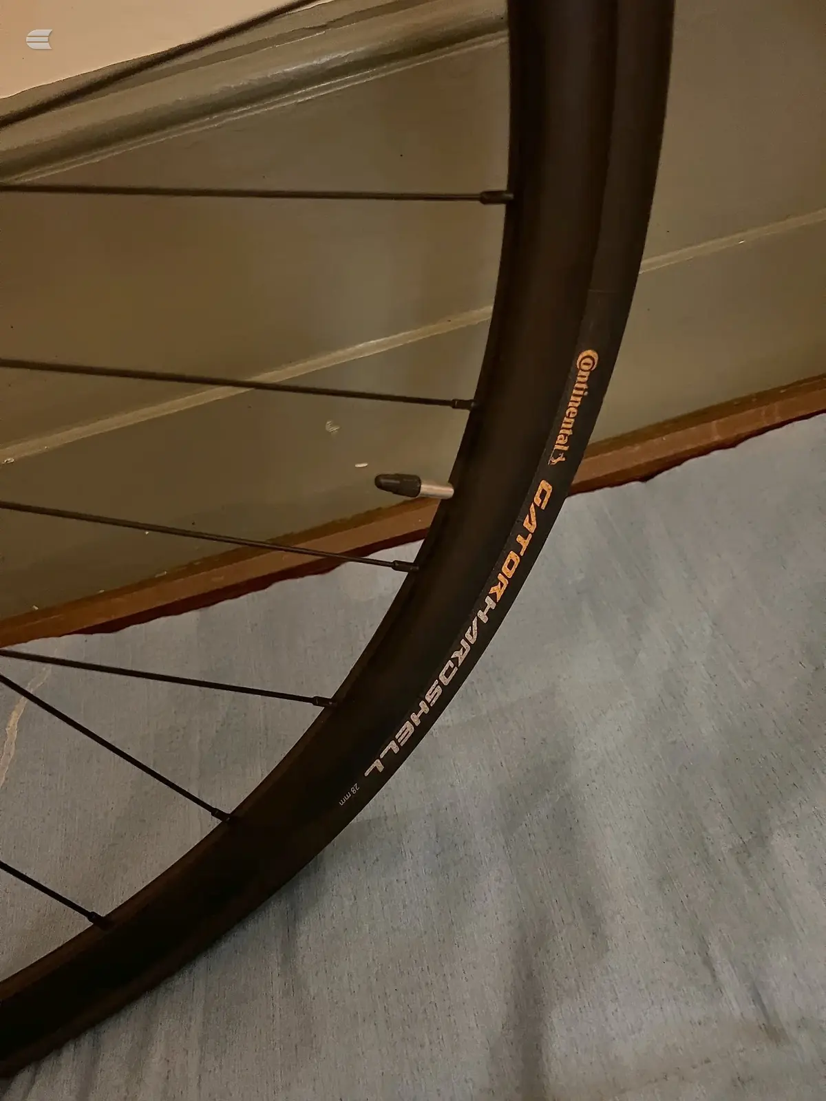 Close-up of a Continental bicycle rim and tyre on a black wheel, non-drive side, indoors against a wooden beam and grey fabric.