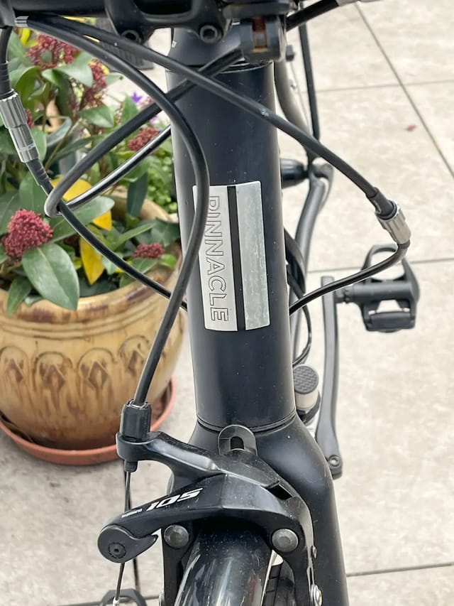 2020 Pinnacle Sentinel