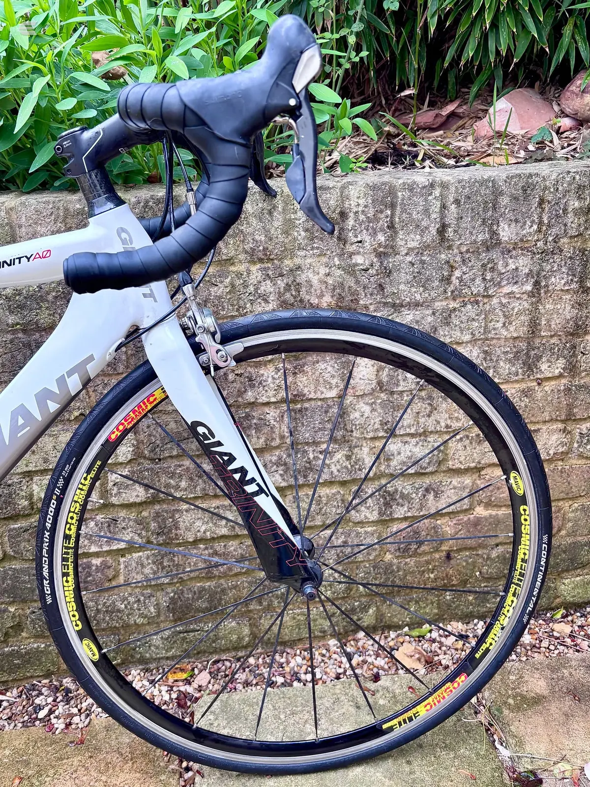 Used 2008 Giant Trinity Alliance 0 Road Bike, photo 3 of 5