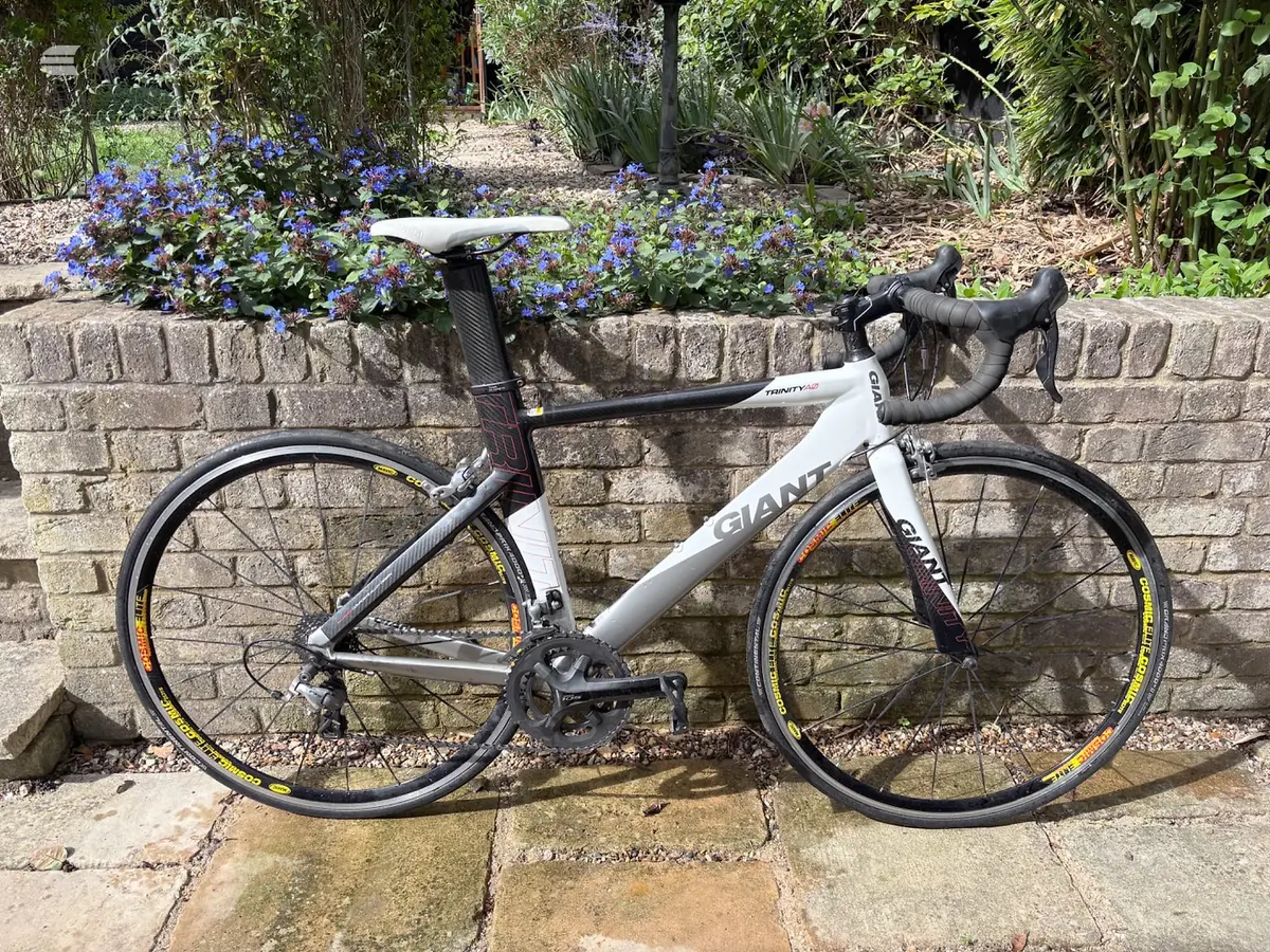 Giant Trinity white and black road bike, drive side, leaning against a stone wall with blue flowers and garden behind.