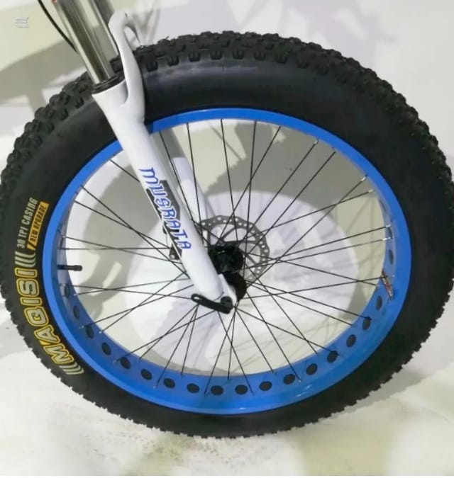 2025 Musrata Fat Tyre Bike, photo 11 of 24