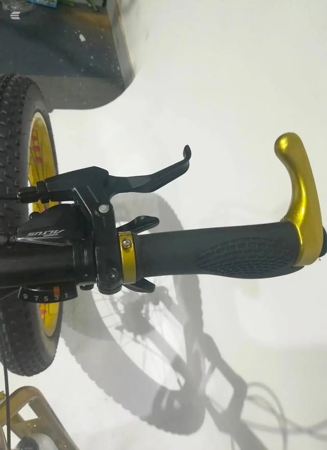 2025 Musrata Fat Tyre Bike, photo 18 of 24