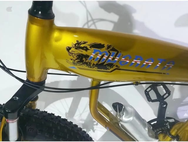 2025 Musrata Fat Tyre Bike, photo 20 of 24