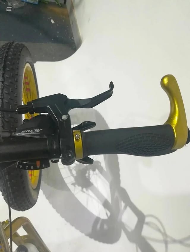 2025 Musrata Fat Tyre Bike, photo 22 of 24