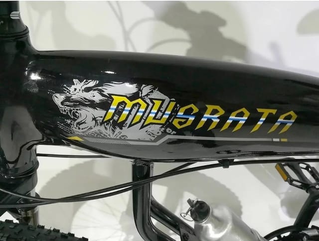 2025 Musrata Fat Tyre Bike, photo 10 of 24