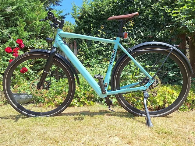 Mango DeeDee, photo 2 of 4