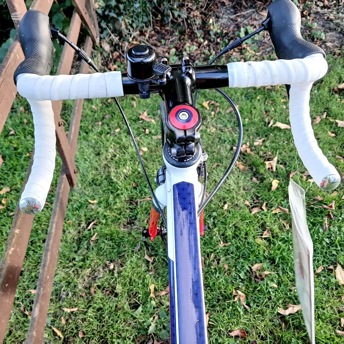 Blue and white drop-bar road bike viewed from above, non-drive side, on grass with fallen leaves and ivy-covered wall behind.