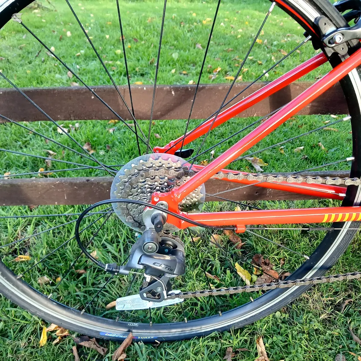 Red road bike rear derailleur, cassette and chain detail, drive side, on grass with fallen leaves.