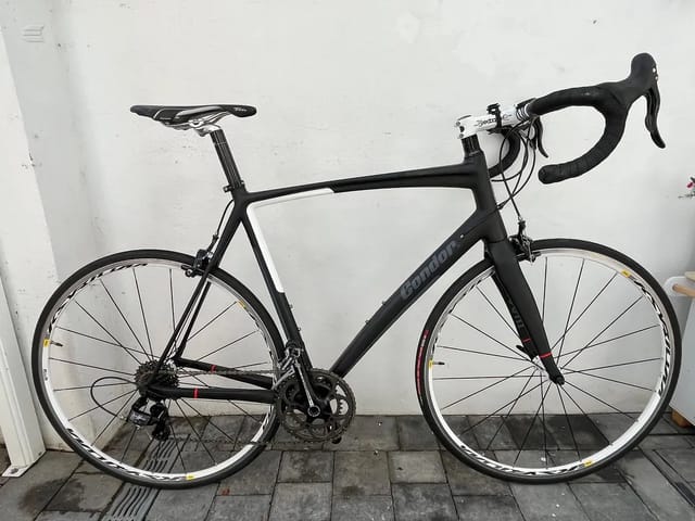 2013 Condor Baracchi