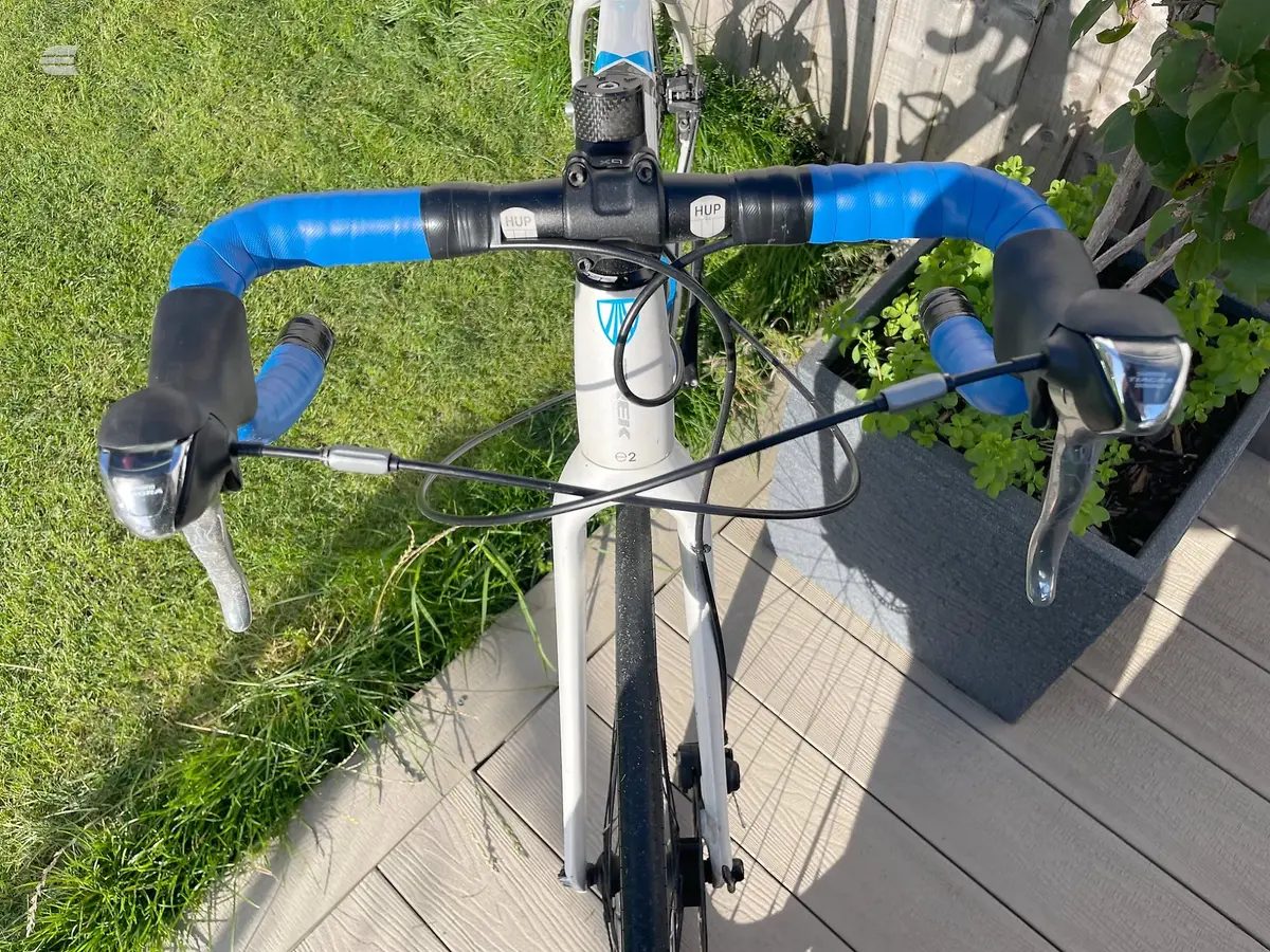 White and blue drop-bar road bike, drive side, overhead view on decking and grass with potted plants nearby.