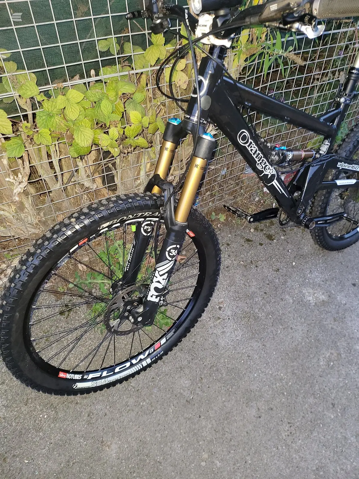 Black hardtail mountain bike with gold fork, drive side, parked on asphalt against wire fence with overgrown plants behind.