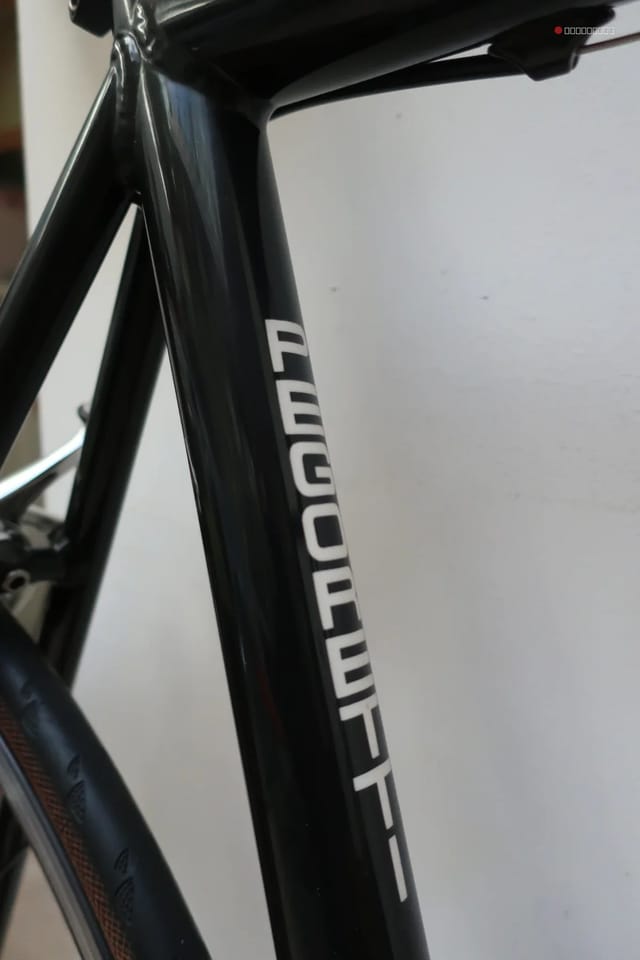 Pegoretti Fina Estampa 2003, photo 9 of 23