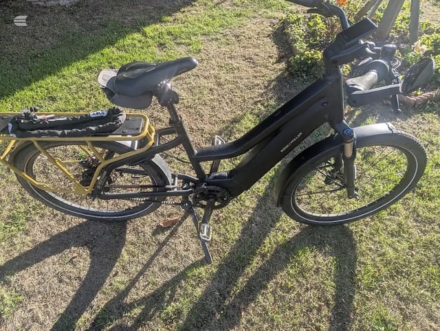 2021 Riese & Müller Multicharger