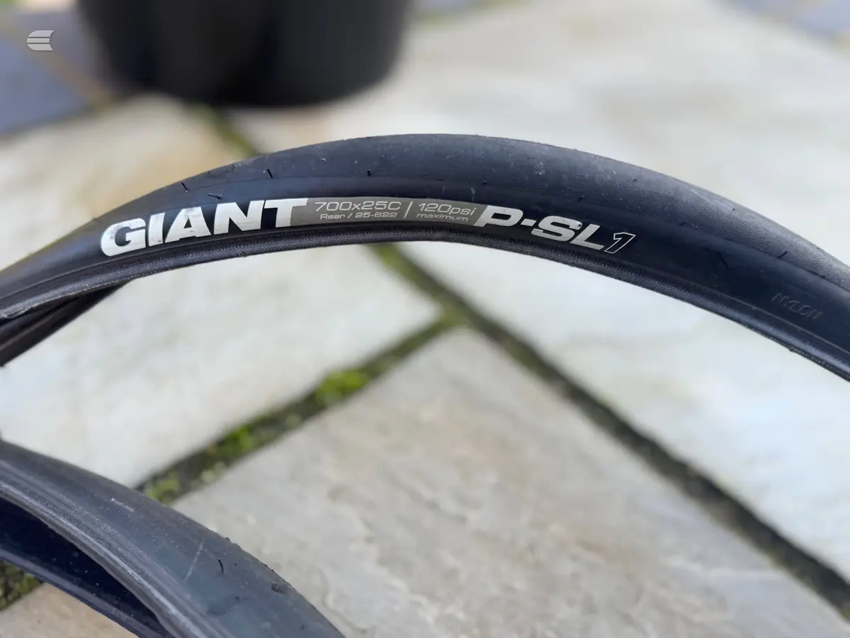 Close-up of a Giant D-SL7 road bike tyre, 700x25c, mounted on a rim, on concrete pavement with moss-covered joints.