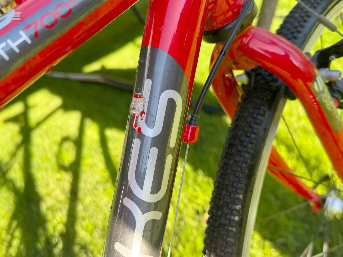 Red and dark grey mountain bike frame detail, close-up of down tube with branding, on grass with dappled sunlight.