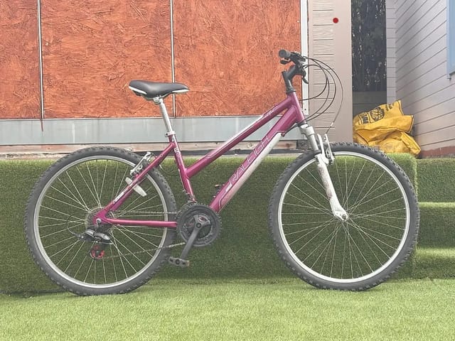 Raleigh Motion