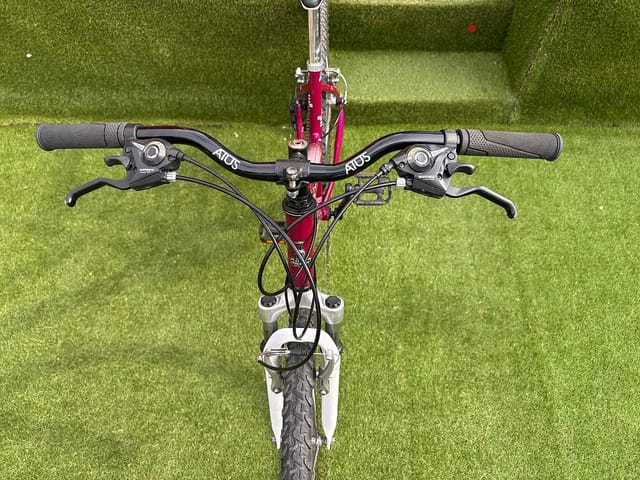Raleigh Motion, photo 4 of 5