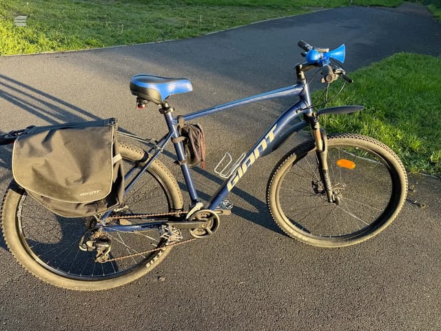 2021 Giant Talon 4