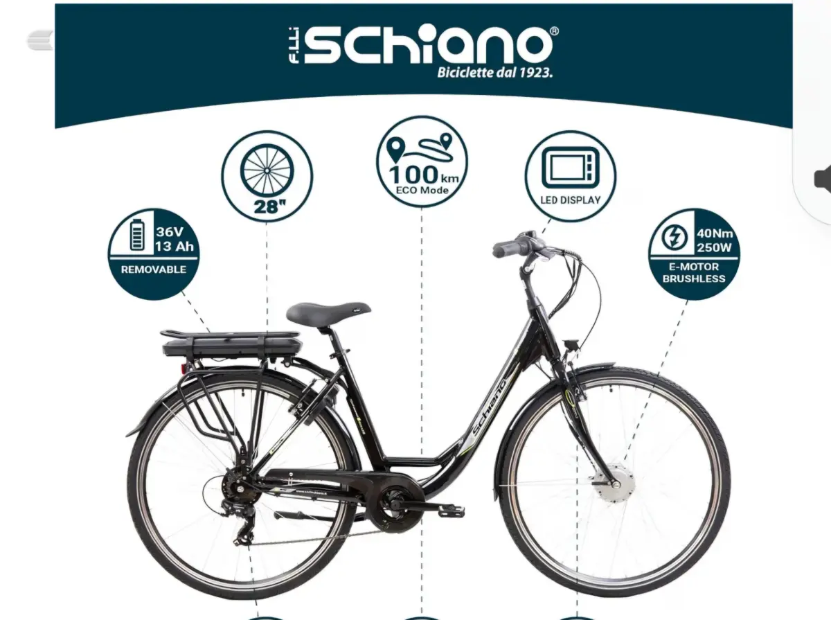Used F.lli Schiano E-Moon Road Bike, photo 16 of 18
