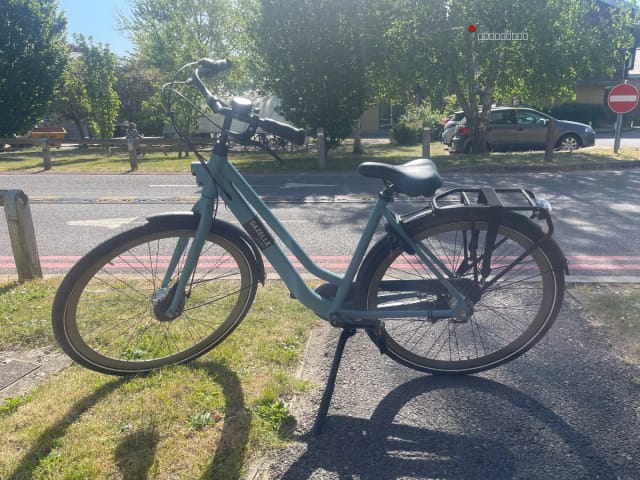 Gazelle Hybrid Electric Bike | Oxford | Cargo Rack | Excellent