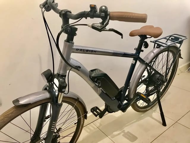 2021 Raleigh Array