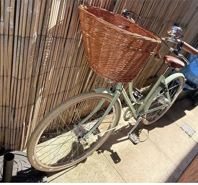 2025 Pashley Britannia 5 Speed
