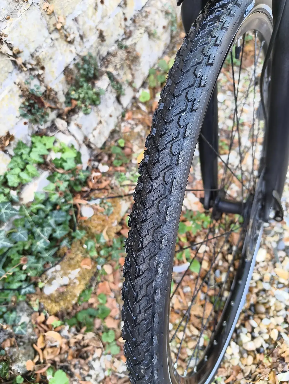 Used 2021 Giant Roam e plus Hybrid Bike, photo 8 of 11