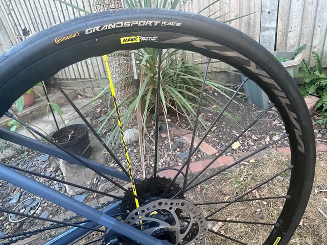 Continental Grand Sport Race road bike wheel, front, drive side, with yellow spoke tape and disc brake rotor visible, against a garden shed and potted plants.