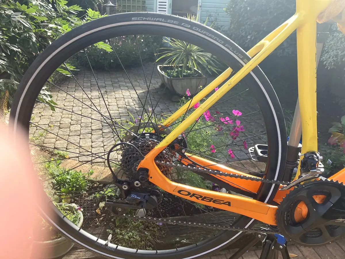 Orange and yellow Orbea road bike in a garden setting, non-drive side, leaning against potted plants with pink flowers and paved ground visible.