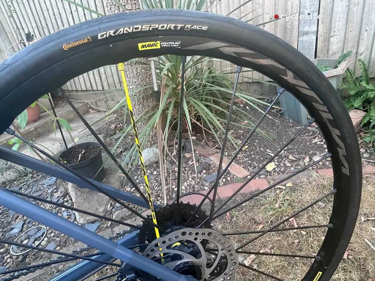 Continental Grand Sport Race road bike wheel, front, drive side, with yellow spoke tape and disc brake rotor visible, against a garden shed and potted plants.