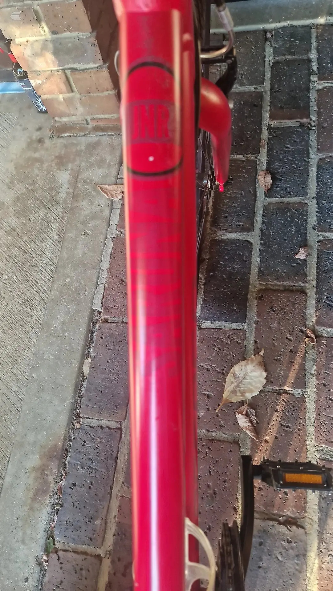 Used Carrera Junior sarina Kids Bike, photo 4 of 5