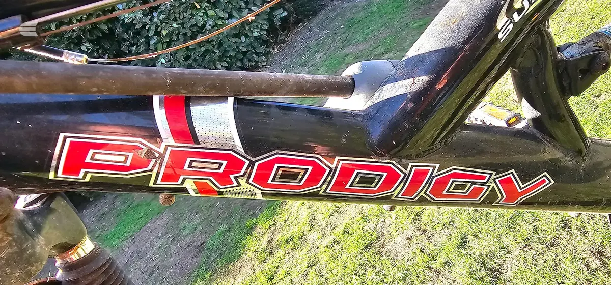 Used 2000 Unknown prodigy Mountain Bike, photo 2 of 5