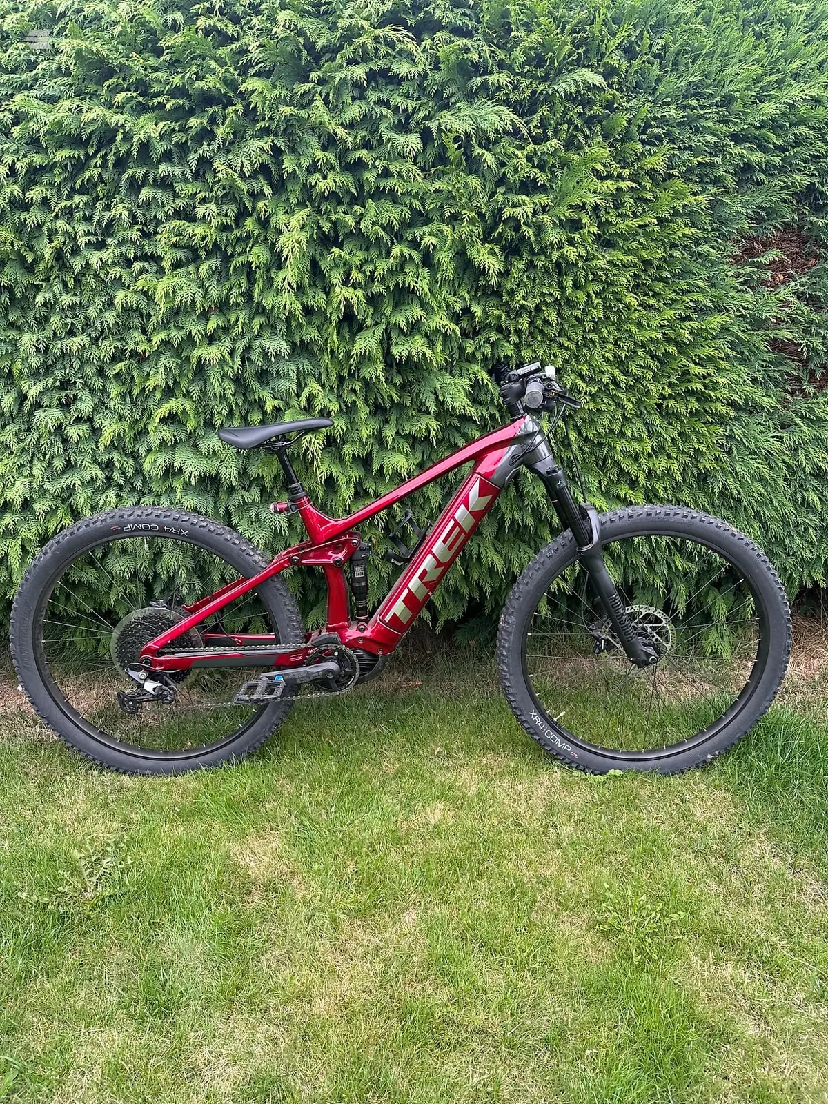 Red Trek full-suspension mountain bike on grass, drive side, against dense green conifer hedge.