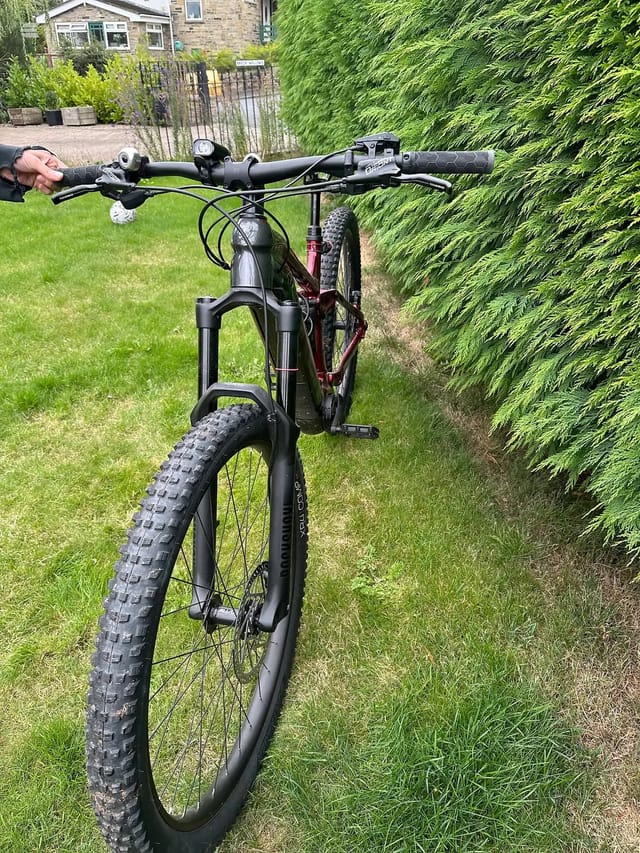 Black hardtail mountain bike with red rear shock, viewed from front-left angle in a garden setting with green hedging and lawn background.