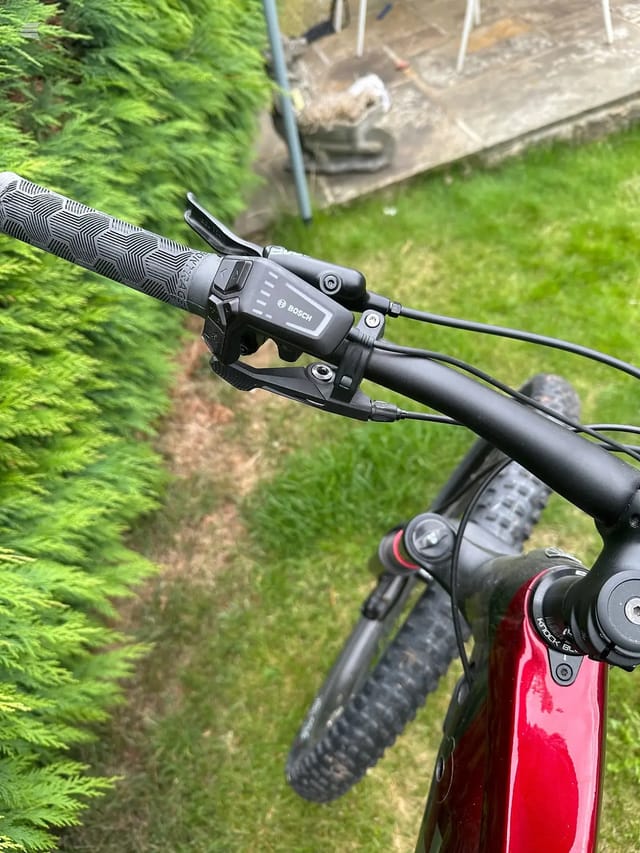 Bosch e-bike display and hydraulic disc brake lever on black handlebar, red frame visible below, grassy garden setting.