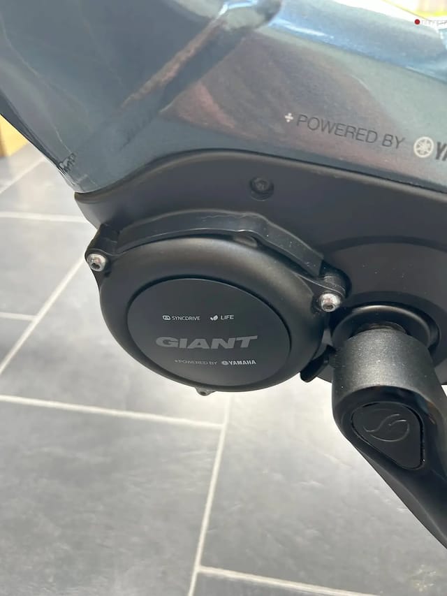 2020 Giant daily tour E+2 Lds, photo 6 of 10