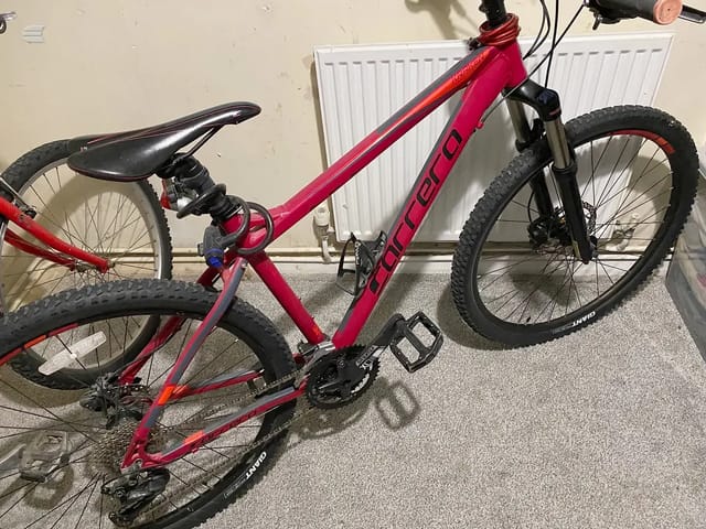 2025 Carrera 2.0 19 Inch Frame
