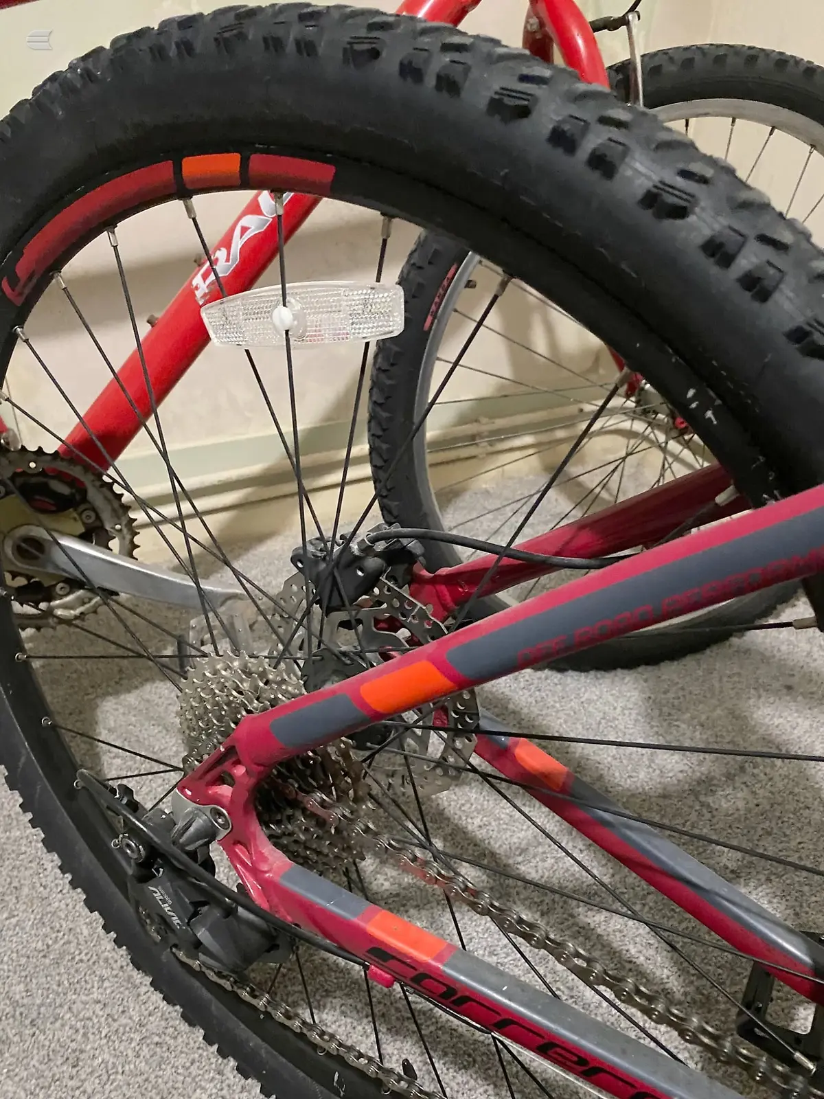Red and black fat bike, rear wheel close-up on grey carpet indoors, showing black knobby tyre and red rim with spokes.