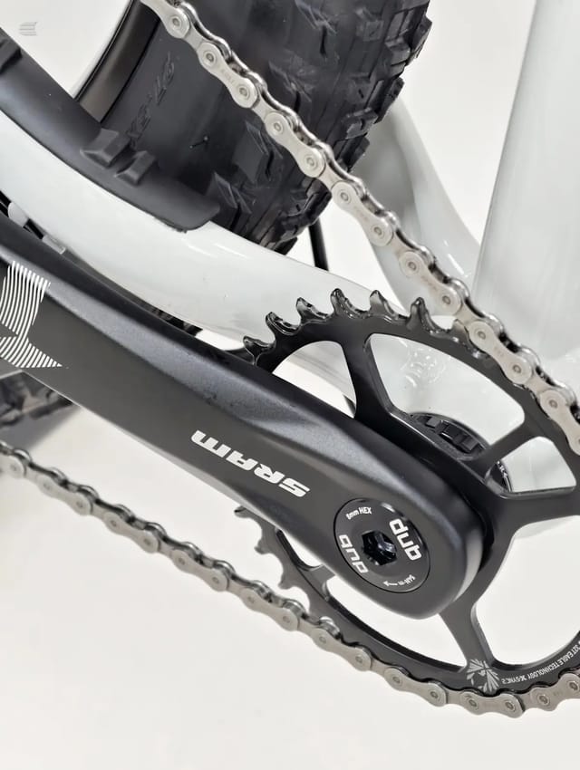 Close-up of black crankset and chainring on white-framed bike, drive side, against white background.