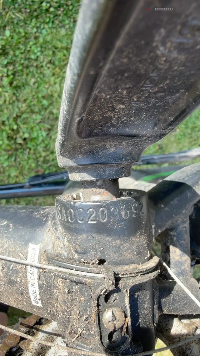 2021 Carrera Hellcat, photo 7 of 7